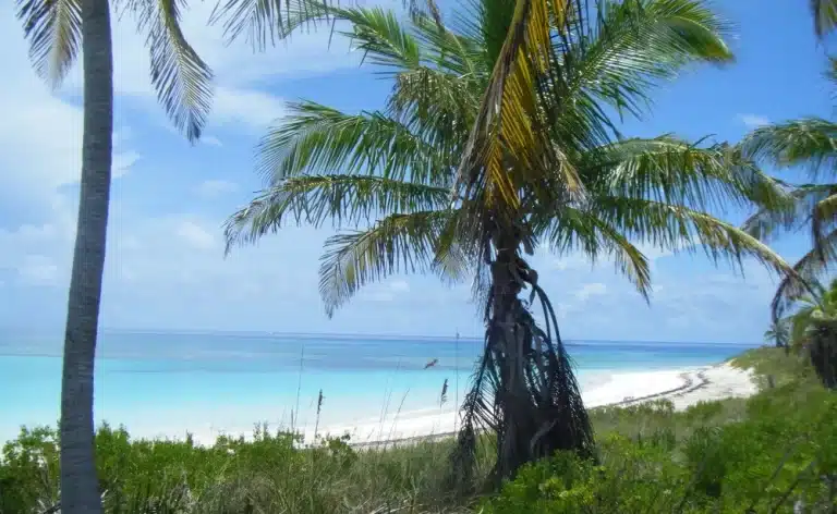 Antigua Caraibi temperature caraibi clima caraibi Spiagge dei Caraibi-spiagge bianche