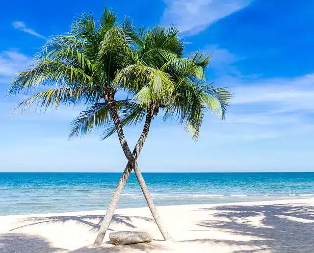 Grenada Isole ABC: Aruba, Curacao e Bonaire