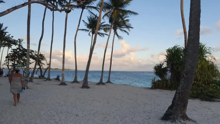 basse-terre guadalupe le migliori spiaggie Le spiagge più belle di Guadalupe