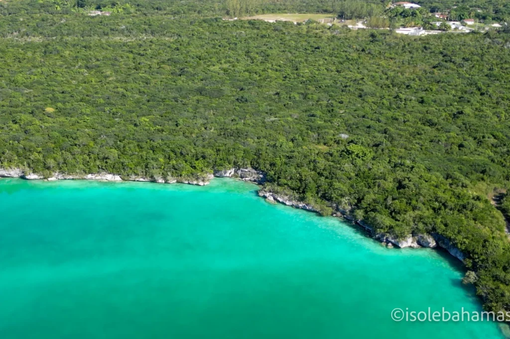Baia di acqua turchese tra la vegetazione: Eleuthera, una delle isole più belle dei Caraibi