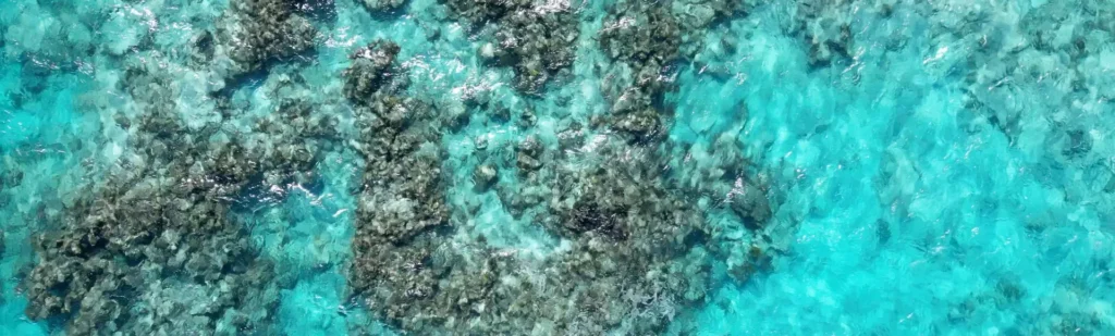 Barriera corallina nell'acqua turchese dei Caraibi vista dal drone (Eleuthera, Bahamas)