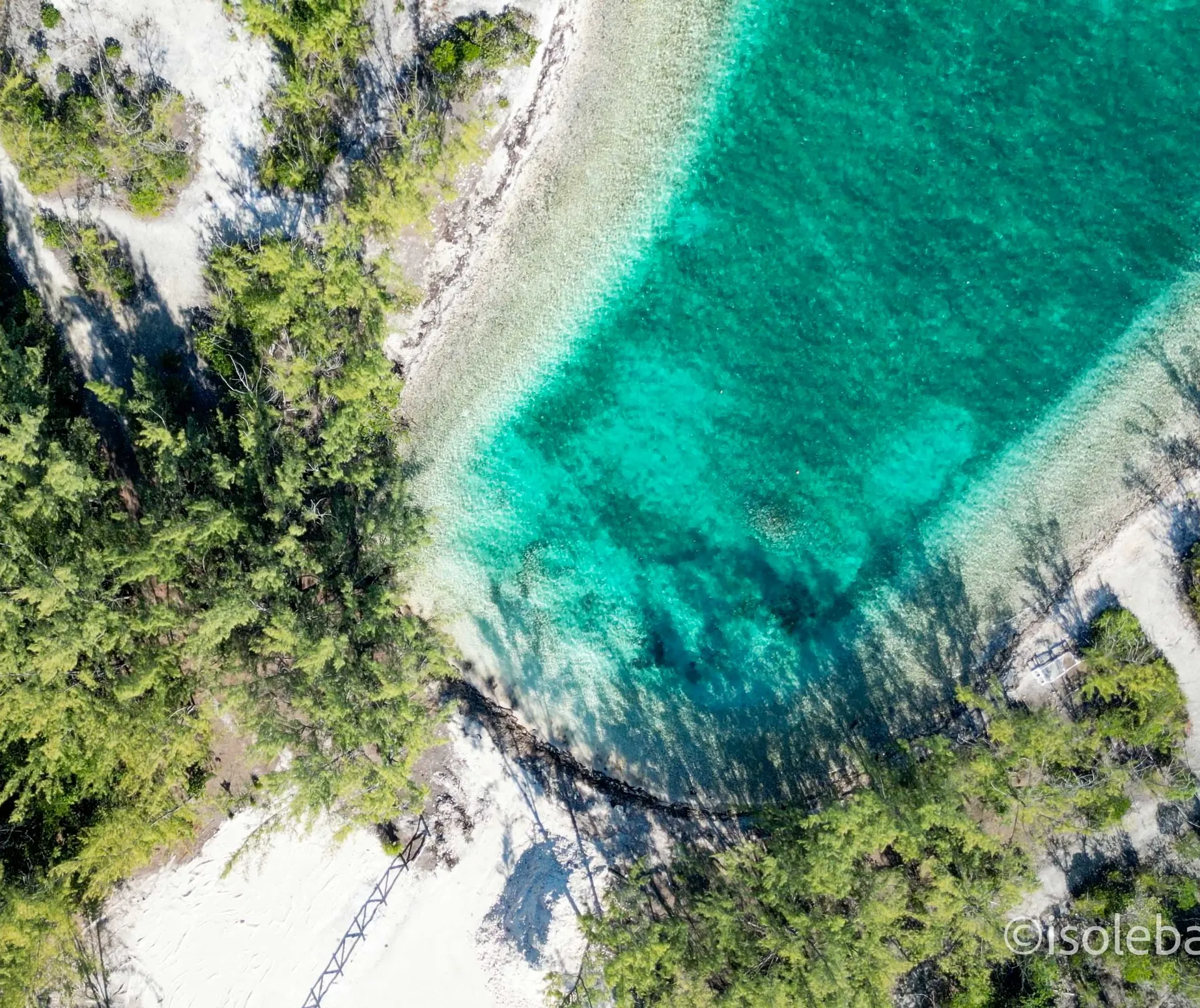 Canale di acqua turchese tra la vegetazione caraibica visto dal drone