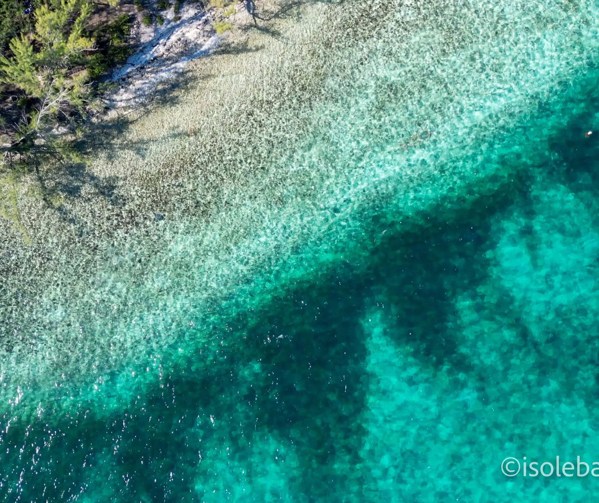 Fondale con coralli nell'acqua trasparente dei Caraibi visto dall'alto