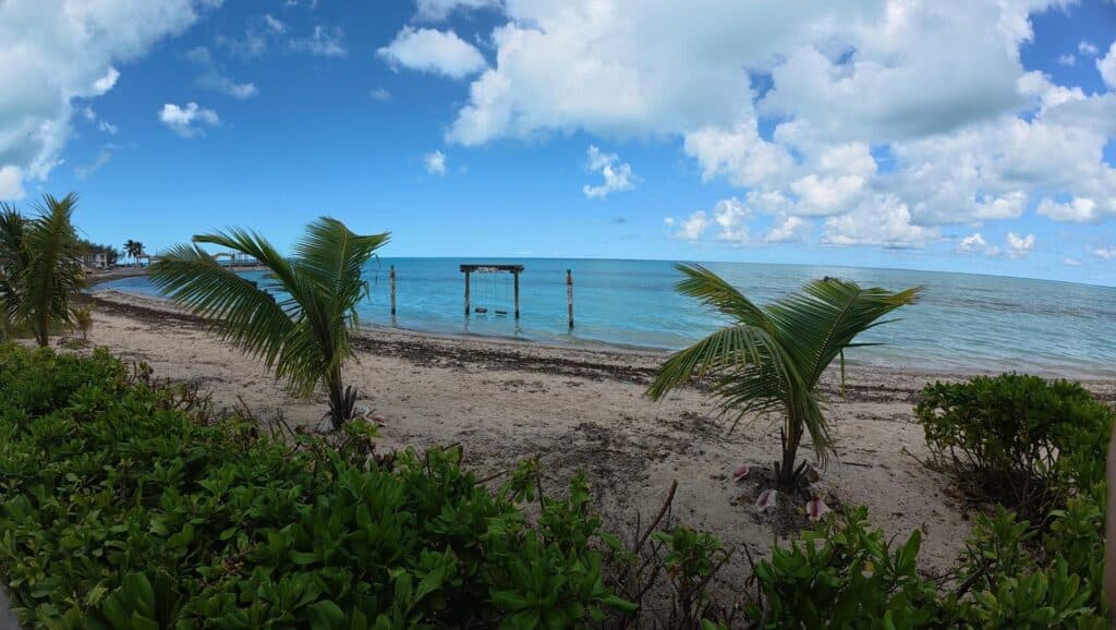 Spiaggia con giovani palme e pontile ai Caraibi